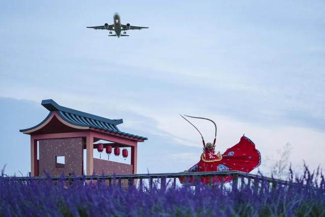 春满双流·马跃吉祥！2026年春节双流文旅全攻略来啦！快收藏