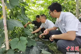 “全国五一劳动奖章”获得者洪明：“我是农民的儿子，我清楚农民迫切的需求是什么”图片