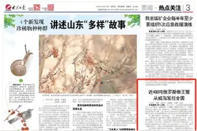 精读威海|大众日报关注：近400吨俄罗斯帝王蟹从威海发往全国图片