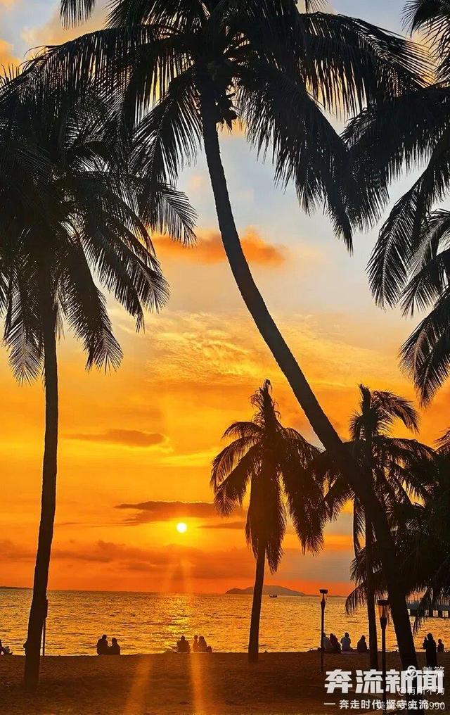 【奔流·浪花】三亚随笔：椰风海韵