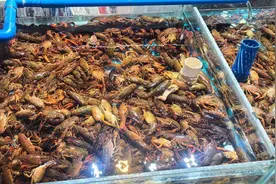 45—65元/公斤！昆明小龙虾已上市图片