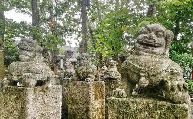 @遵义人，请查收一封来自“遵义公园”的请柬！