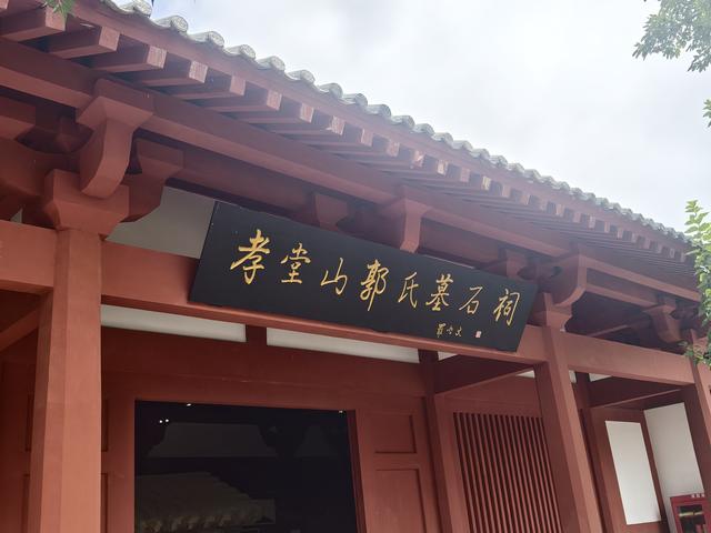 这片油葵迎来盛花期！速来长清孝堂山景区邂逅限定浪漫