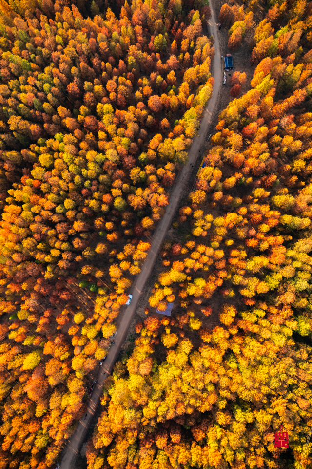 寒潮倒计时！再不来就迟了