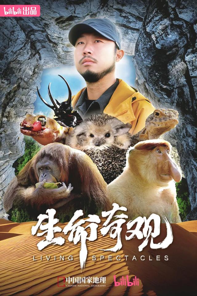 中国国家地理自然影像中心启动