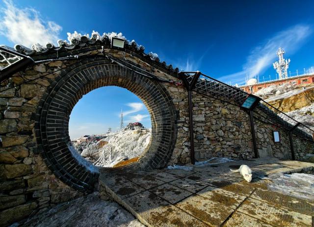 岱宗披霜缟 冰韵醉人间