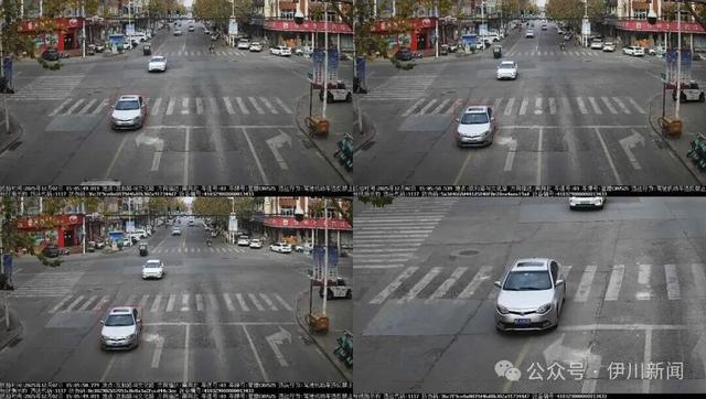 压实线！伊川曝光一批车辆……