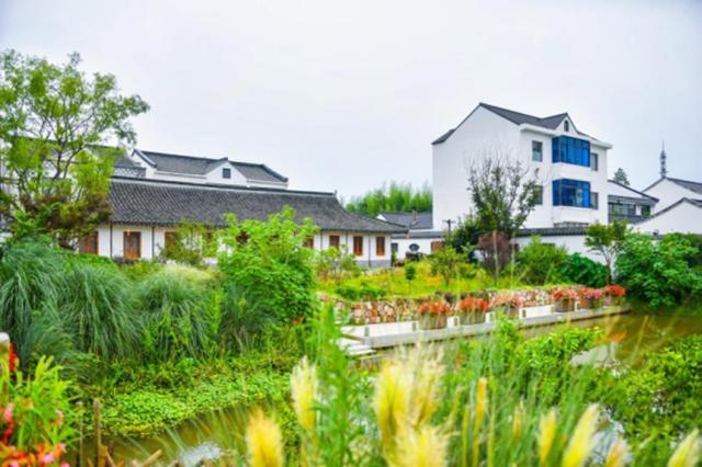 请查收美图！这么美的奉贤，你见过吗？