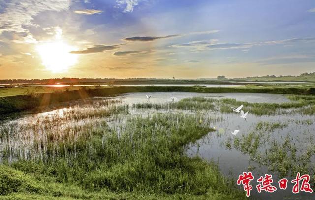 跨越山水 常德汉寿向重庆发出“快旅慢游”新邀约！