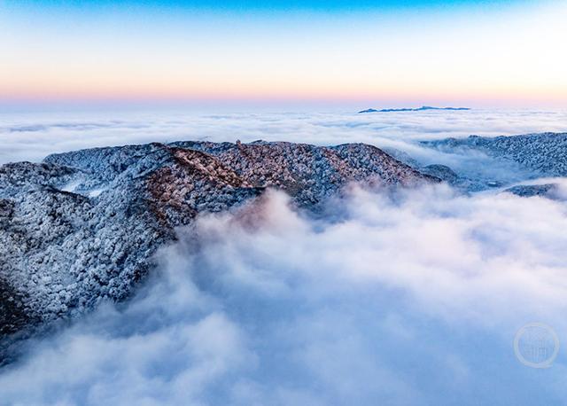 重庆南川：云海与雪景同框，开启冬日仙境模式
