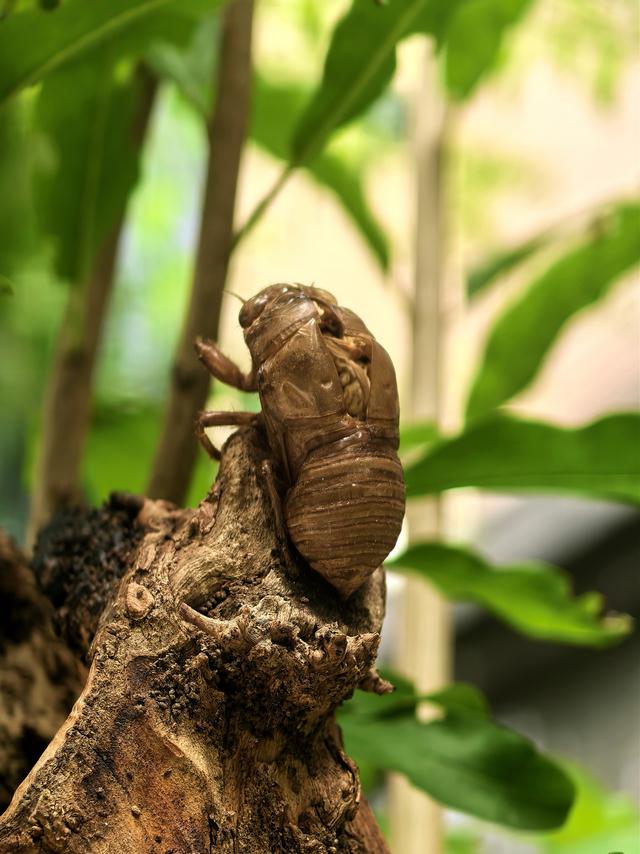 晚潮｜秋风犹有信　白露凝草叶