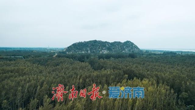千年“翠屏”再现“鹊华烟雨”诗意