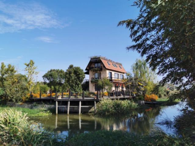 奉贤区景区限时免票或半价来了