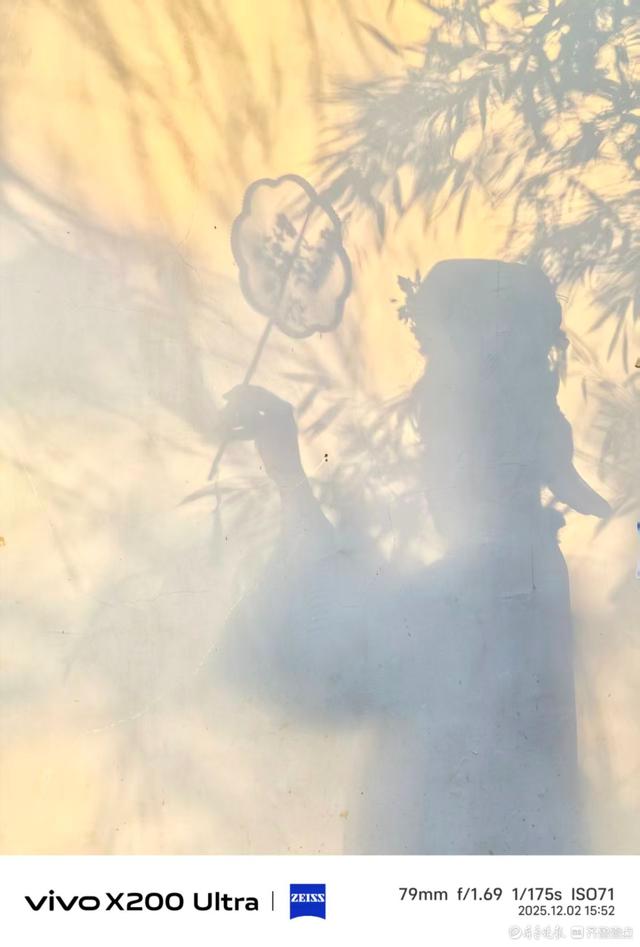 大明湖景区的竹影清风