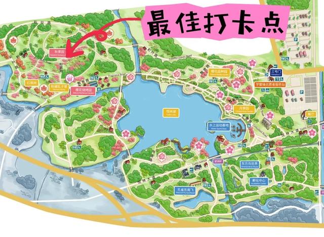 谁还没冲？顾村公园新出打卡点，美到想尖叫！