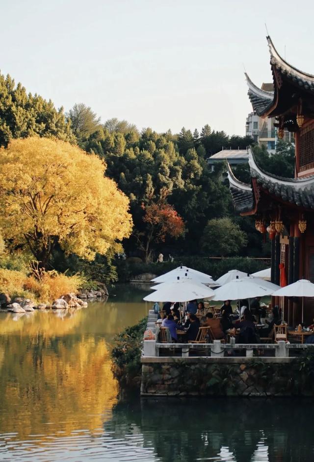 没想到，冬日的黎明湖公园这么美！