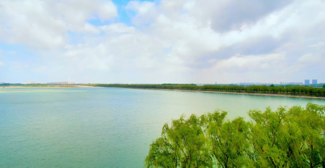 济南驻村第一书记带你自驾行 • 游乡村 | 槐荫篇：槐荫黄河畔 寻露营稻田