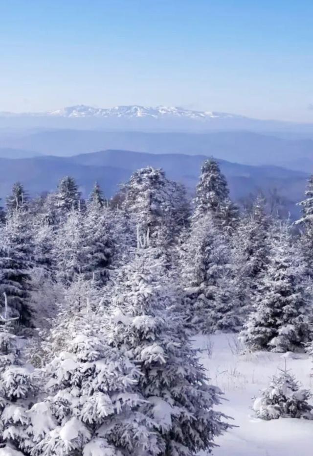 长白山下“一体多翼”→延边打造多元冰雪体验新标杆