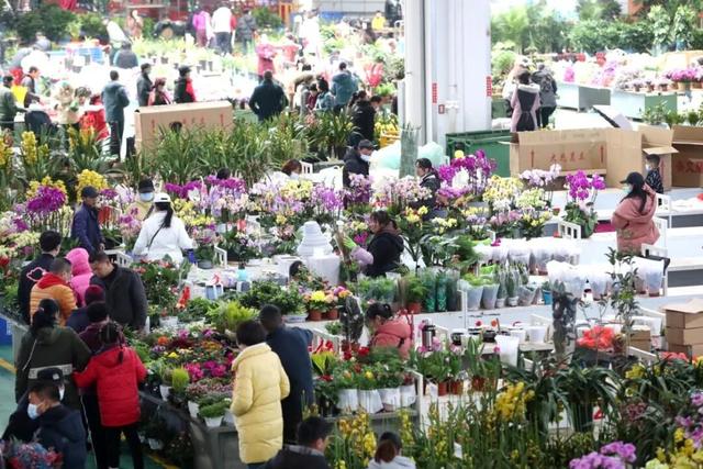 跟着滇超游昆明 | 昭儿～来看滇超联赛 要在昆明耍几天呢噶