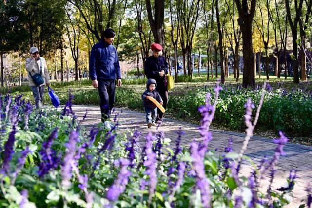 北京朝阳：全龄友好公园+1！