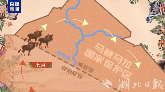 武汉专家参与东非草原年度动物迁徙“大片”