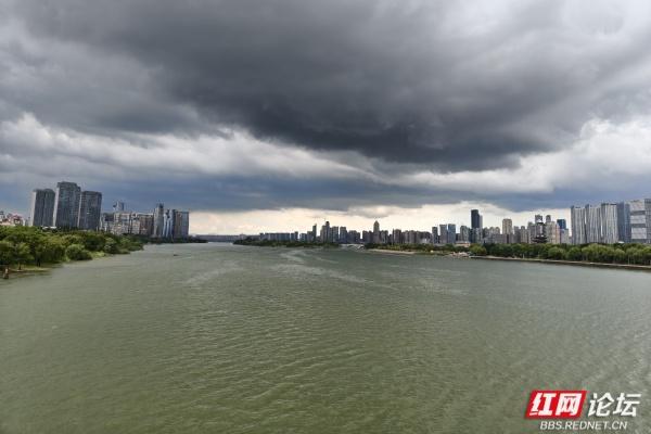 漫步湘江景：城市景观的明暗写意画