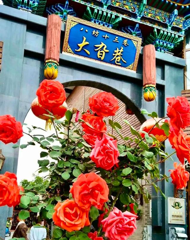 临夏市：一座把“浪漫”写进马路牙子的城市
