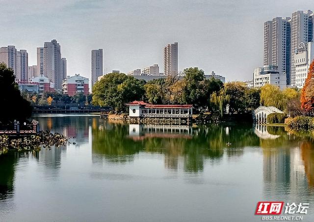 落叶、湖光与暖阳，解锁津市三湖公园的冬日浪漫