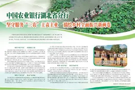 中国农业银行湖北省分行  坚守服务“三农”主责主业  描绘乡村全面振兴新画卷图片