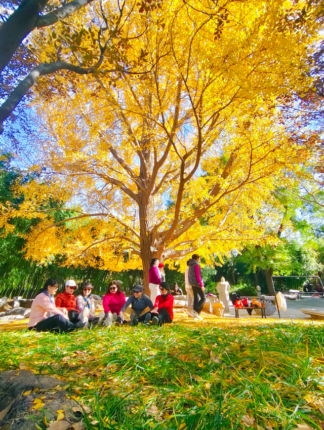 太美了！漫步南长河，邂逅满途风光