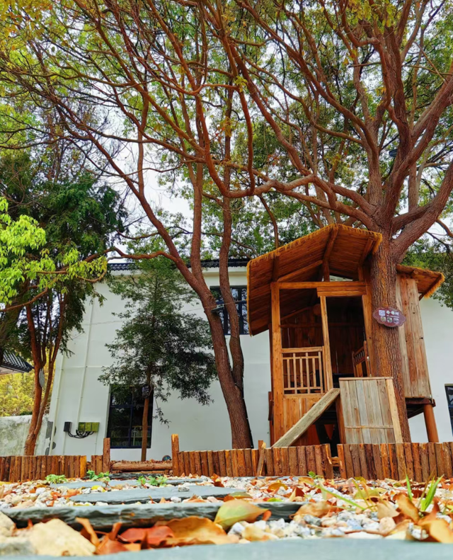 躲进闽西的初冬！来龙岩一键打包古城烟火+爆汁脐橙