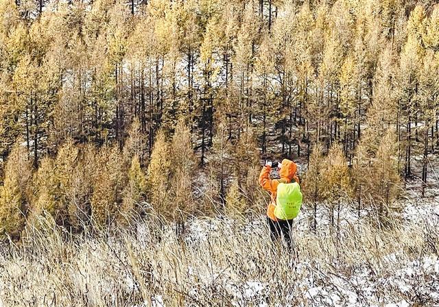 草茂林丰的生态底色