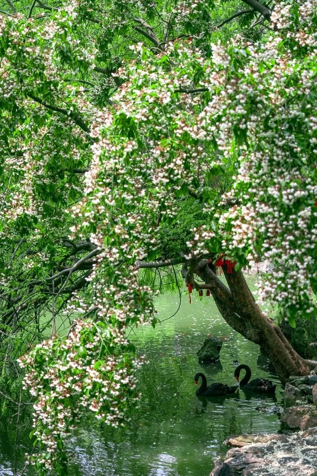 四时天工 扬州如画