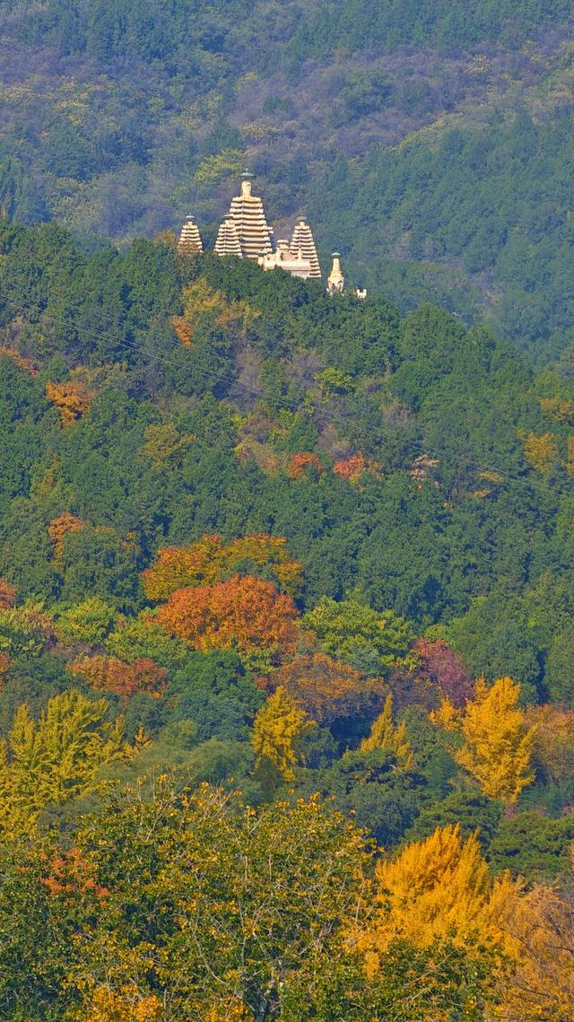 于香山叶脉间，读懂了这座城的秋天