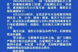 西藏定结警方通报“某旅游团领队打人事件”：案件正在依法办理当中图片