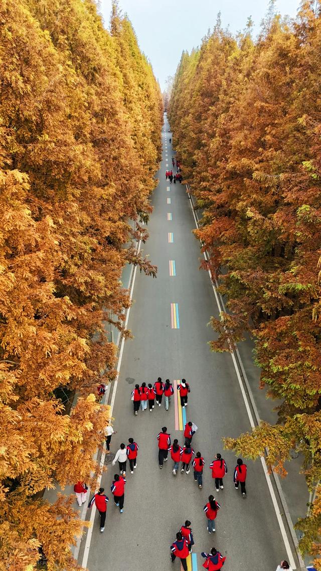 日照人的嘴是真严啊！这里都美成啥了！