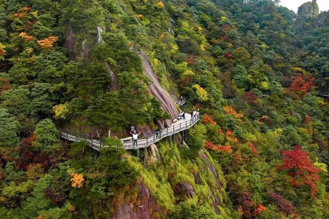 重阳，登高去