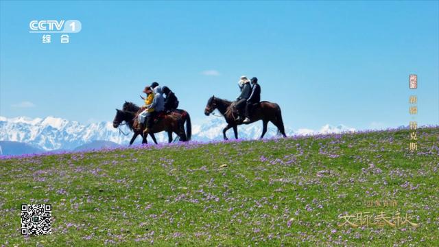 新疆特克斯：天山深处的八卦城
