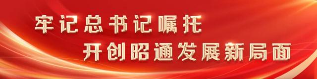 治愈系大片！鹤舞霞光里的诗行