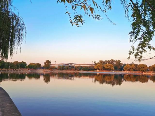 秋意正浓，邂逅浪漫！快来打卡“七站两场”地区的限定秋色