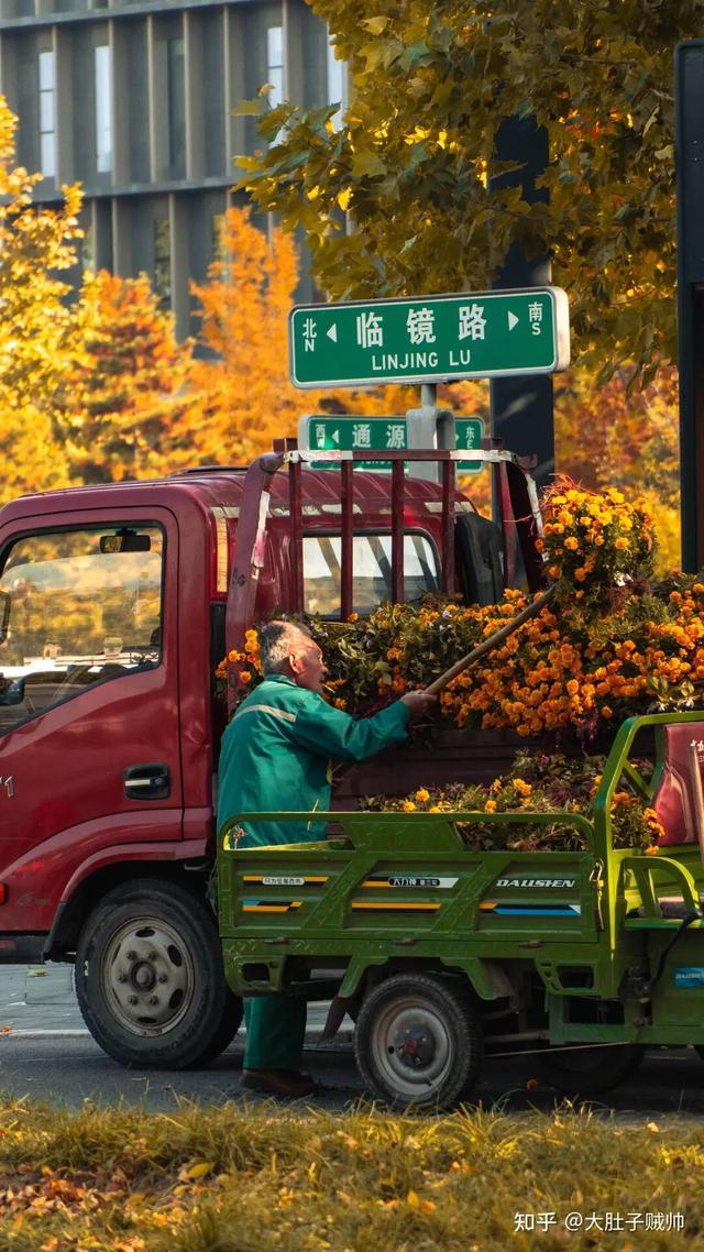 如何描述“北京的秋”？这是一期有温度的推送……
