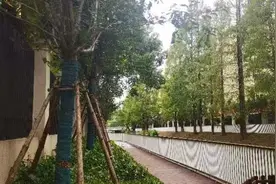 徐汇：游憩散步的好去处+1！图片