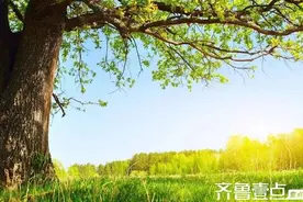 普通人的人生没有奇迹.挽风图片