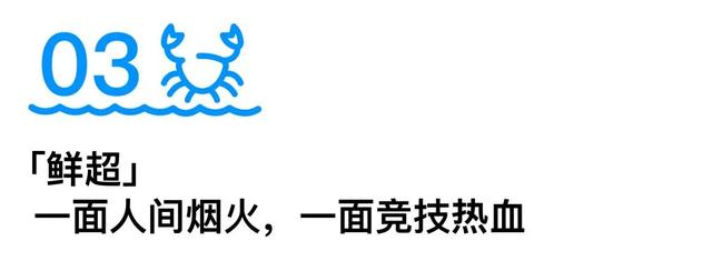 最鲜城市，请回答！