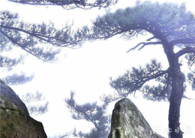 别遗憾！收假后的蕲春，私藏了最治愈的秋天……