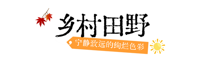 初冬高饱和度美景，还得看洛阳！