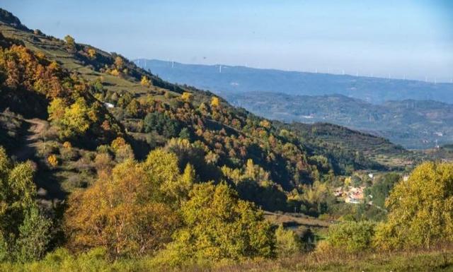 华亭关山多彩林海 解锁陇东最浓秋意