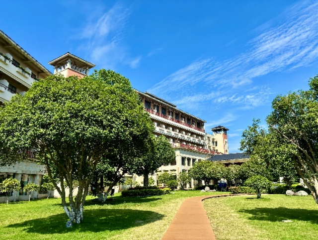 湖南绝美银杏打卡地，太出片了