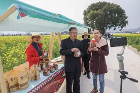 俄媒：电商发展给中国乡村注入活力图片