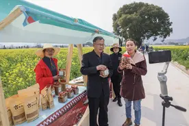 俄媒：电商发展给中国乡村注入活力图片